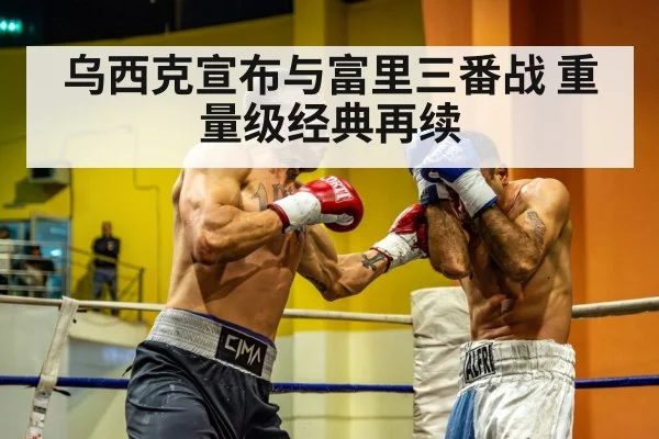 heavyweight championship belt boxing